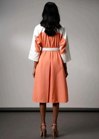 Brushstroke Handloom Cotton Dress